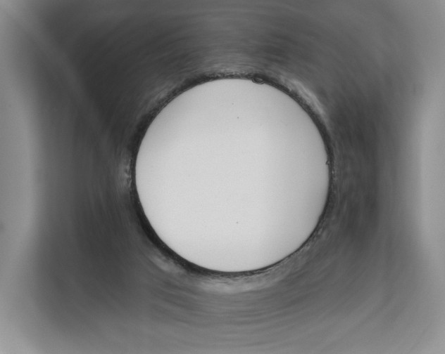 X0000111610017200908071340