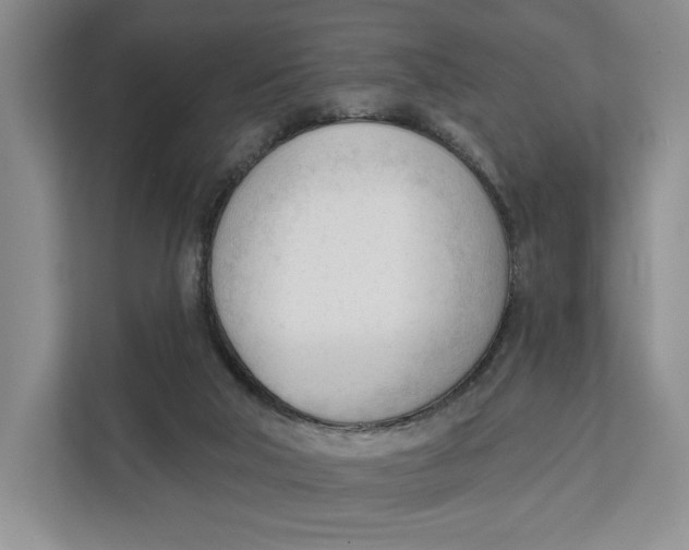 X0000111610018200908071340