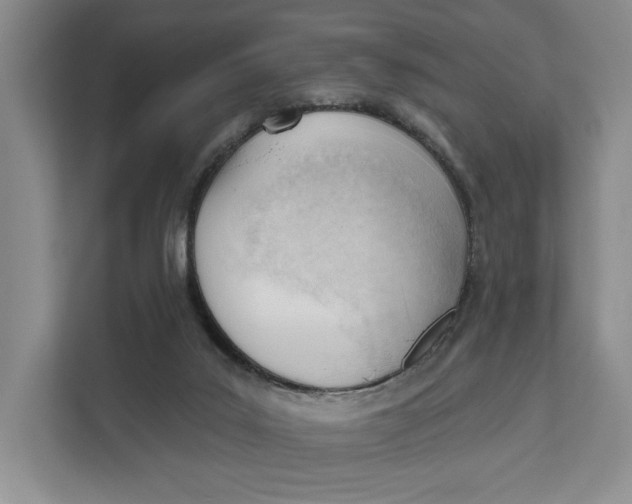 X0000111610019200908071340
