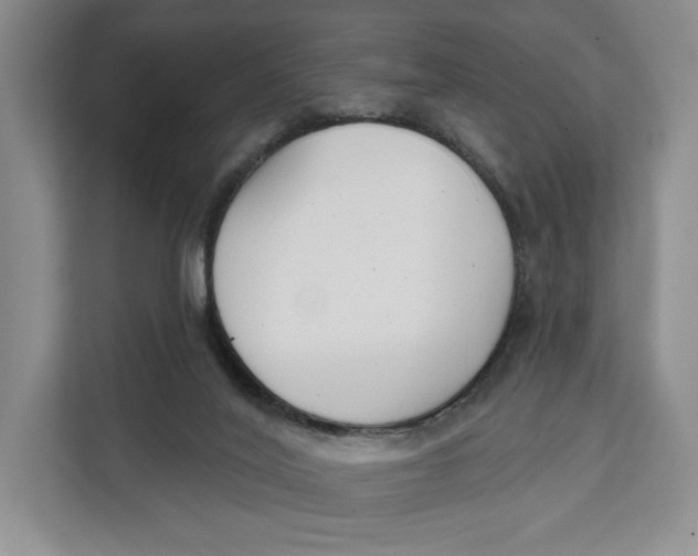 X0000111610020200908071340