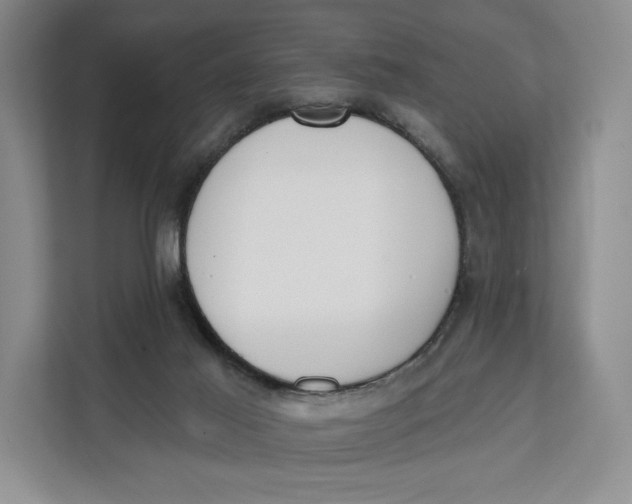 X0000111610021200908071340