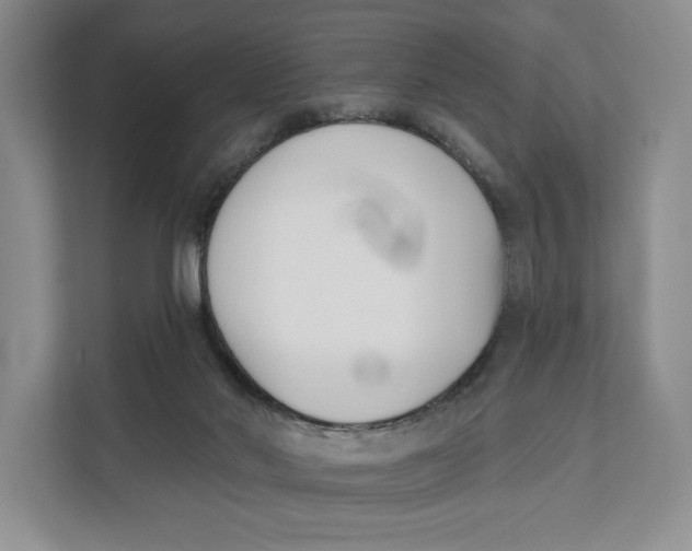 X0000111610022200908071340