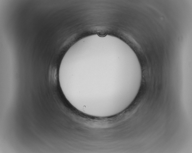 X0000111610024200908071340