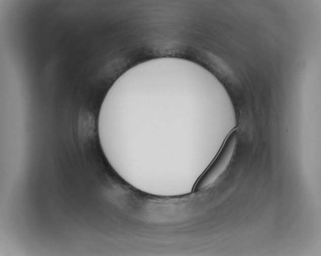 X0000111610025200908071340