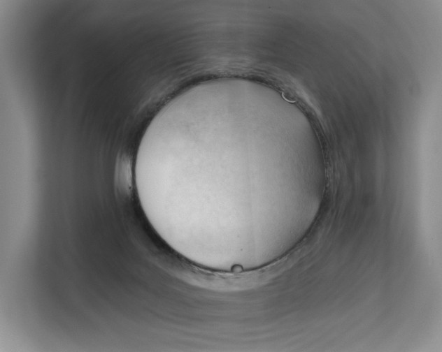 X0000111610027200908071340