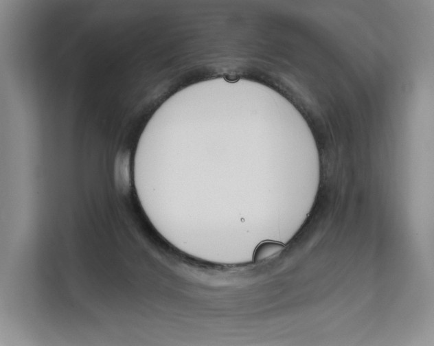 X0000111610028200908071340