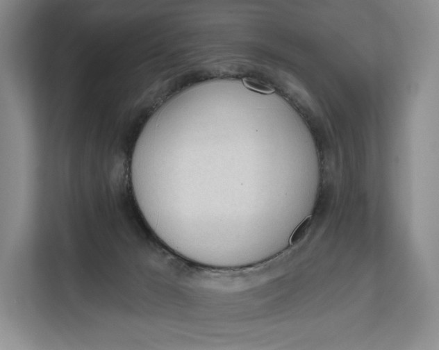 X0000111610029200908071339