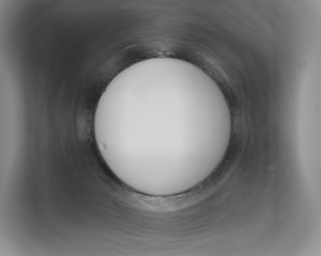 X0000111610030200908071339