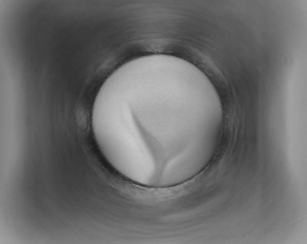 X0000111610031200908071339