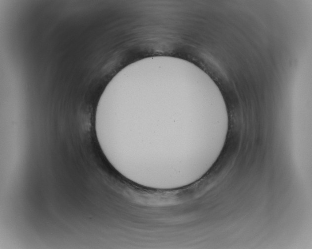 X0000111610032200908071339