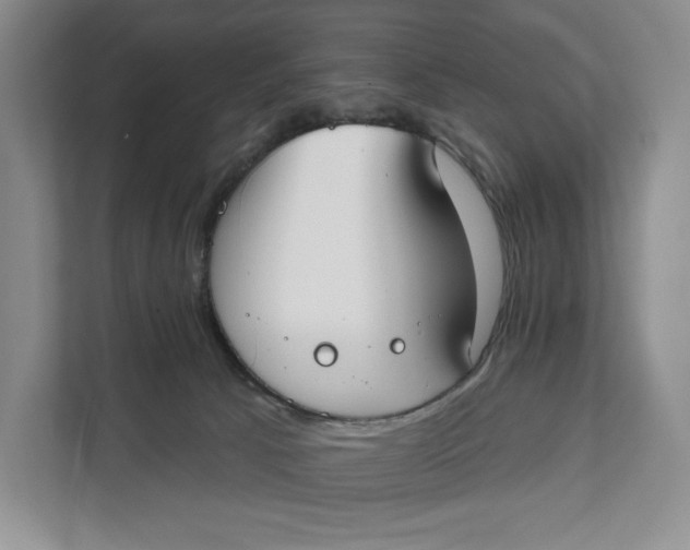 X0000111610033200908071339
