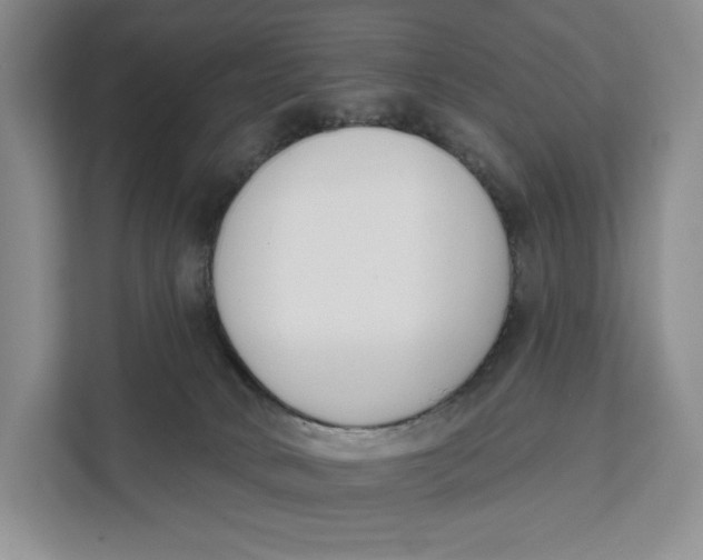 X0000111610034200908071339