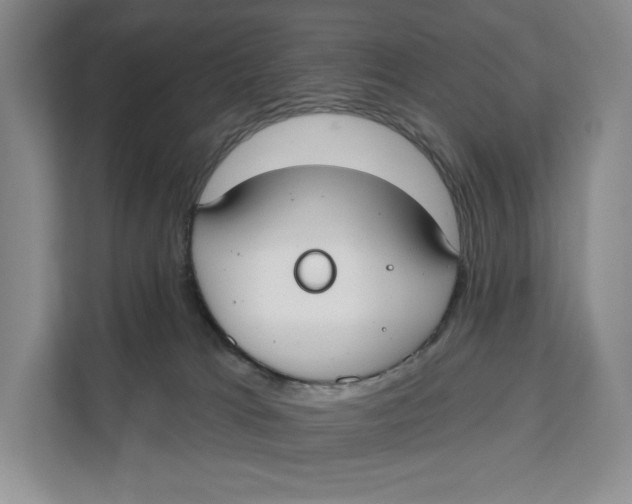 X0000111610037200908071339