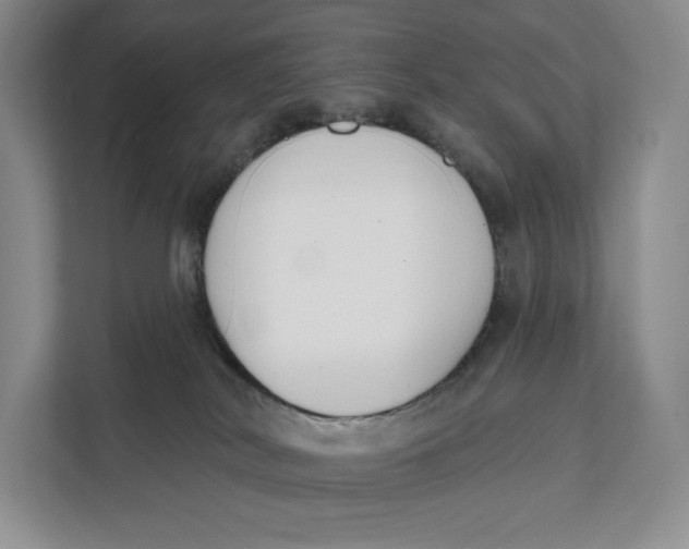 X0000111610038200908071339