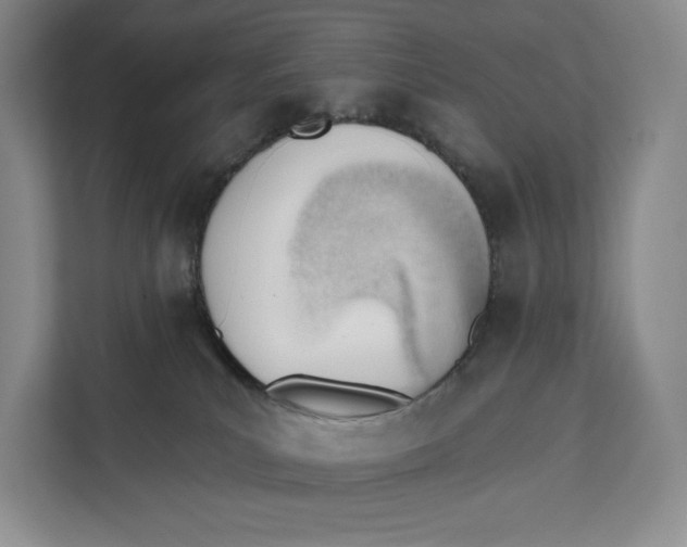 X0000111610039200908071339