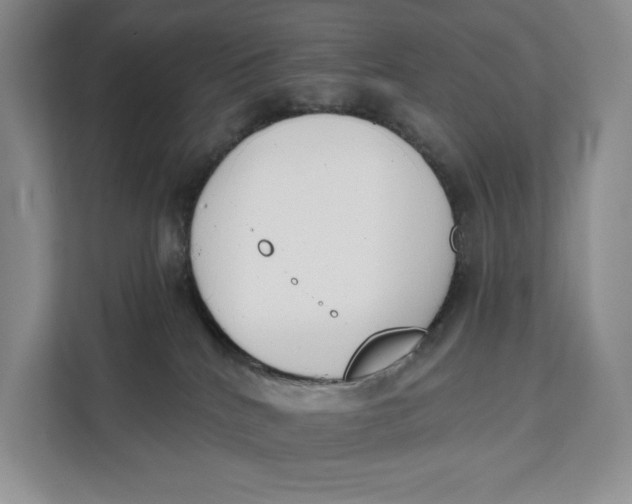 X0000111610040200908071339