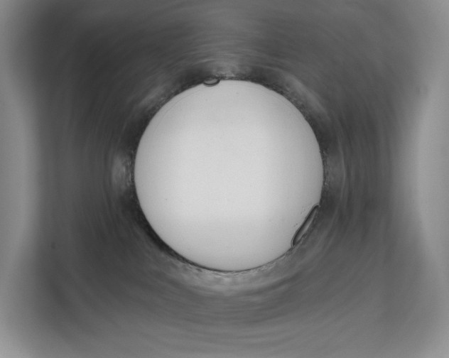 X0000111610043200908071339
