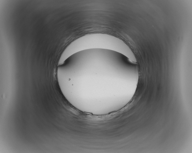 X0000111610045200908071339