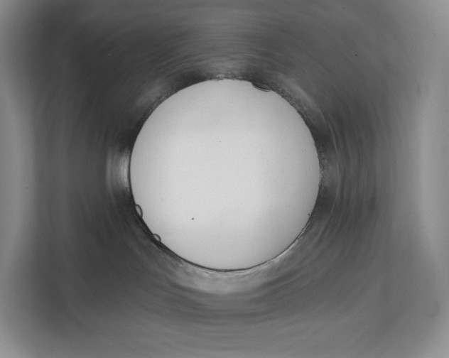 X0000111610047200908071339