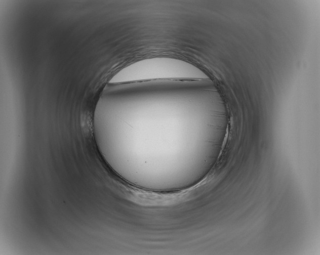 X0000111610048200908071339
