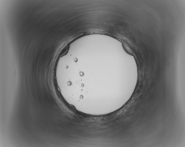 X0000111610049200908071339