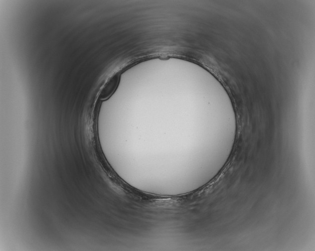 X0000111610050200908071339