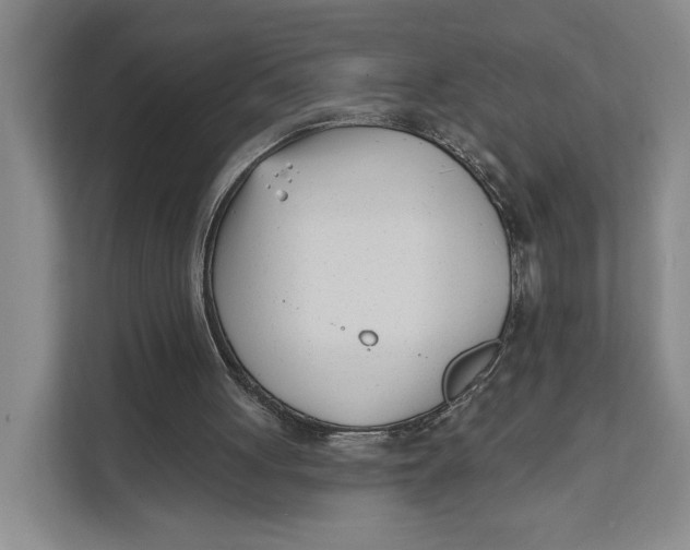 X0000111610051200908071339
