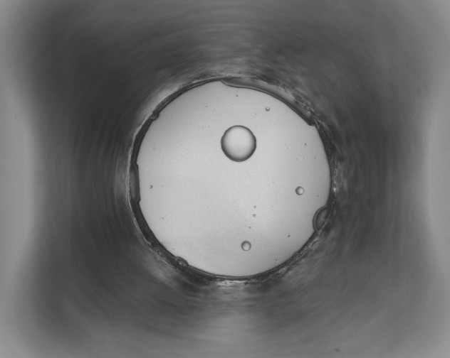 X0000111610052200908071339