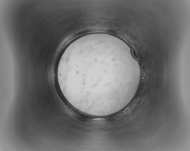 X0000111610053200908071339