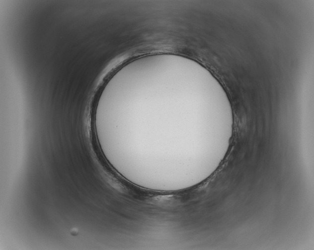 X0000111610054200908071339