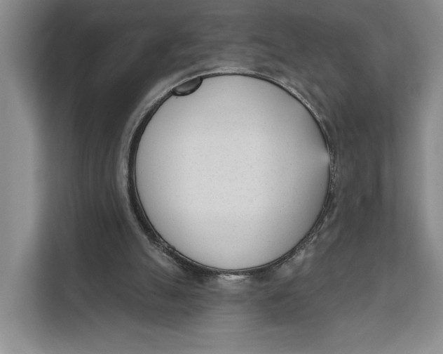 X0000111610055200908071339