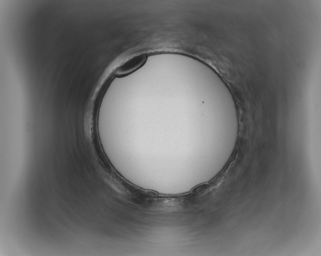 X0000111610056200908071339