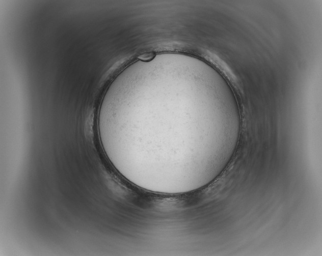 X0000111610058200908071339