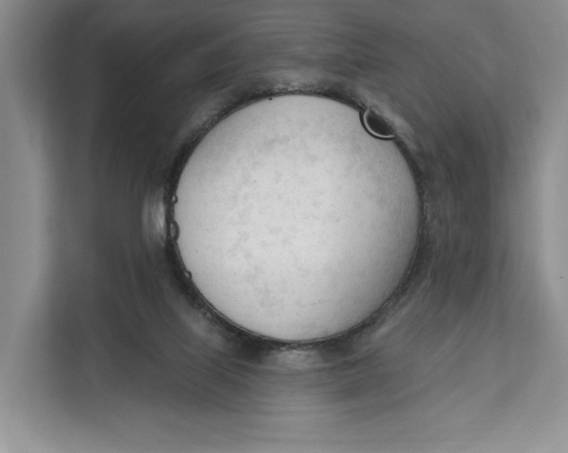 X0000111610067200908071339