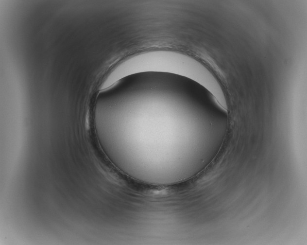 X0000111610068200908071339