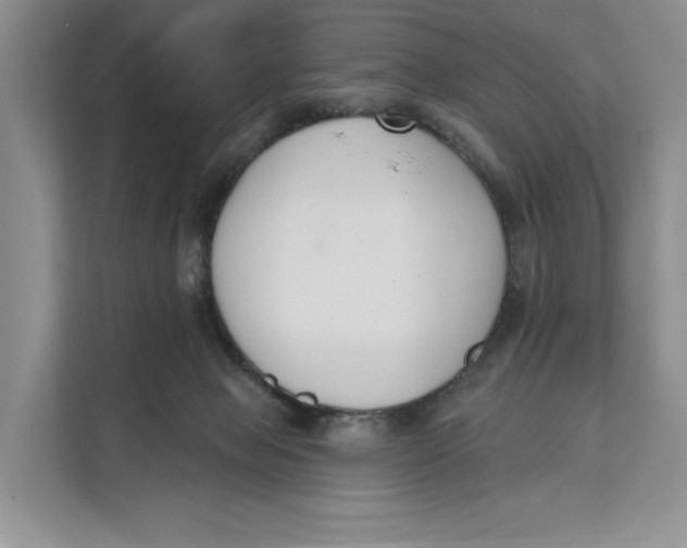 X0000111610077200908071339