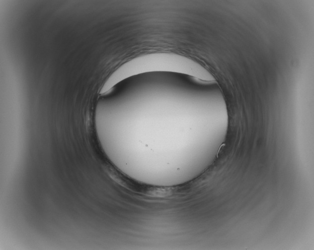 X0000111610084200908071339