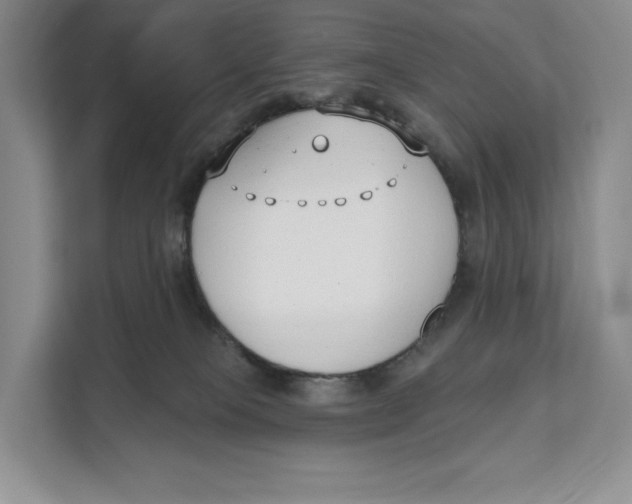 X0000111610085200908071339