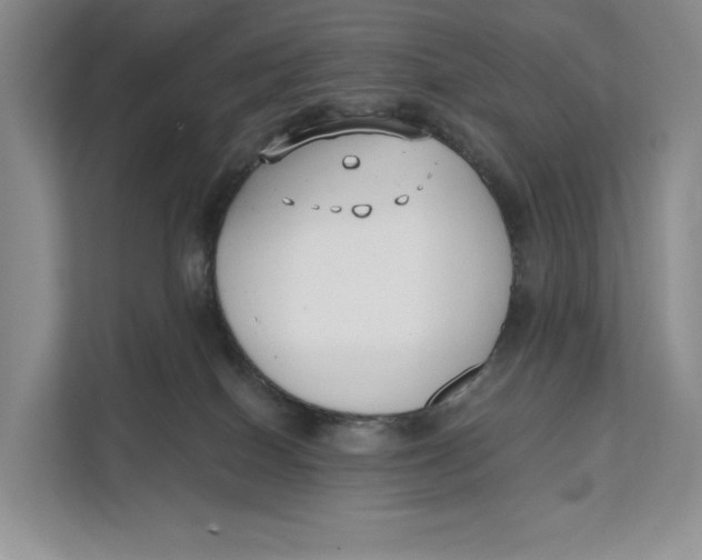 X0000111610086200908071339
