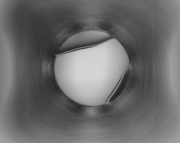 X0000111610088200908071339