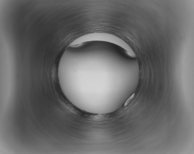 X0000111610092200908071339