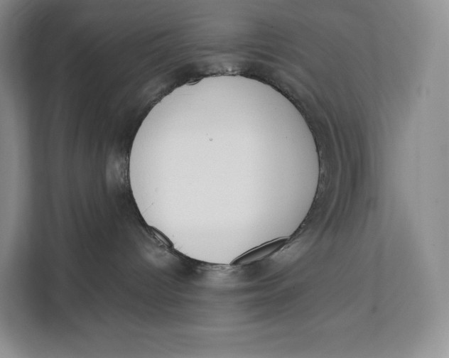 X0000111610096200908071339