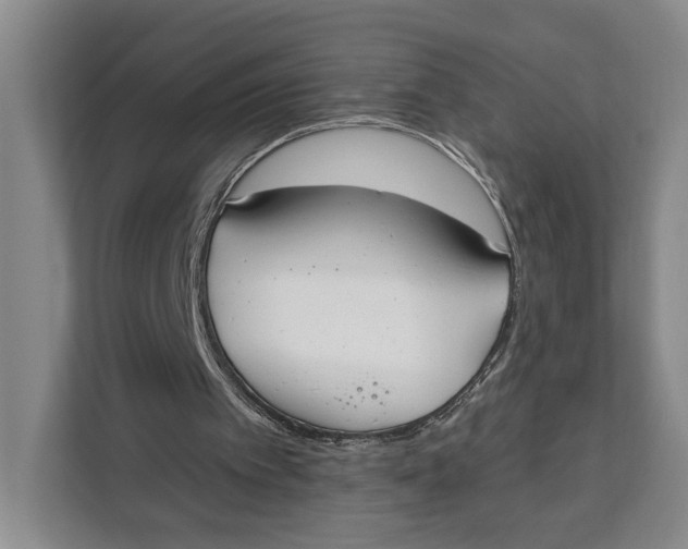 X0000111610097200908071339