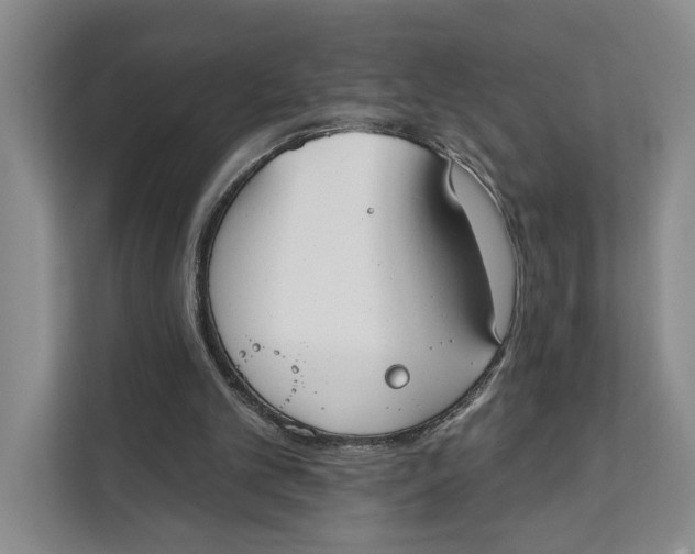 X0000111610101200908071339