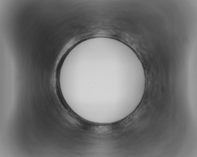 X0000111610102200908071339