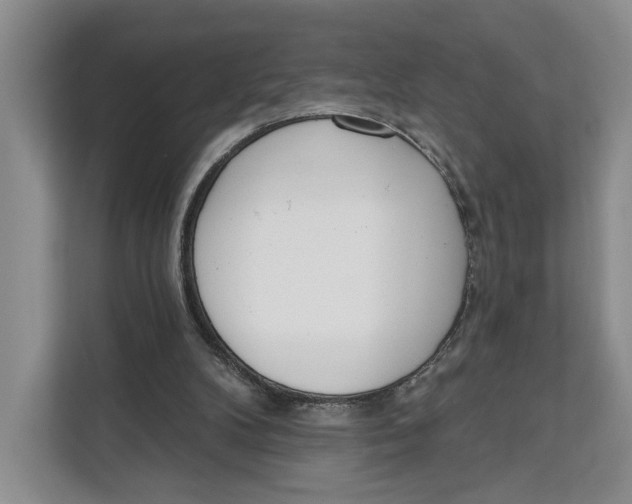 X0000111610104200908071339