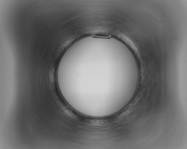 X0000111610105200908071339