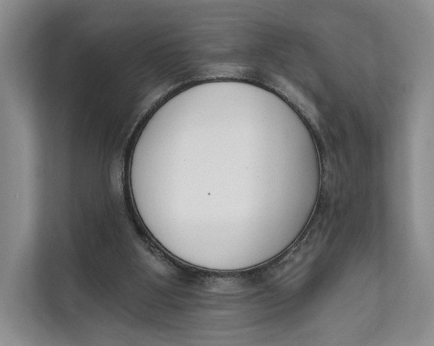 X0000111610107200908071338