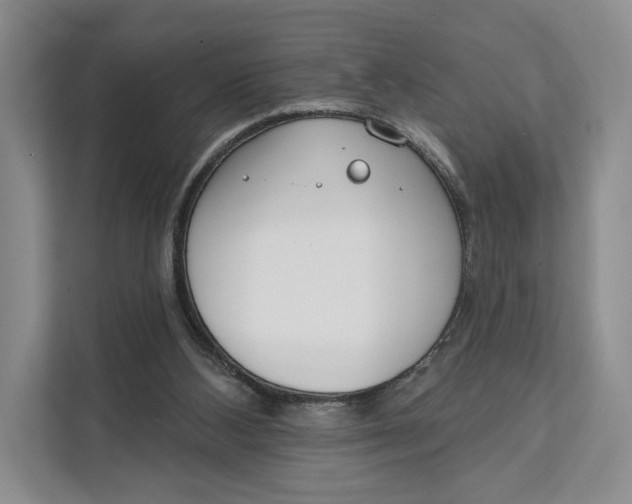 X0000111610108200908071338