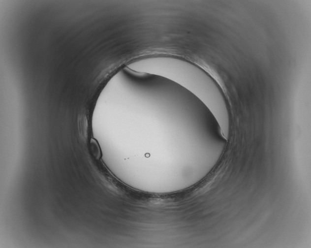 X0000111610109200908071338